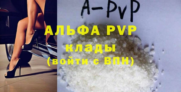 прущие грибы Богородицк