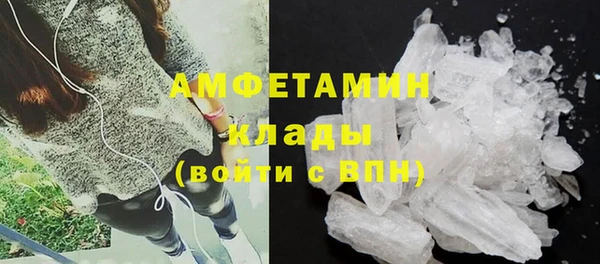 прущие грибы Богородицк