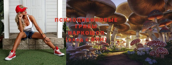 jwh Богданович