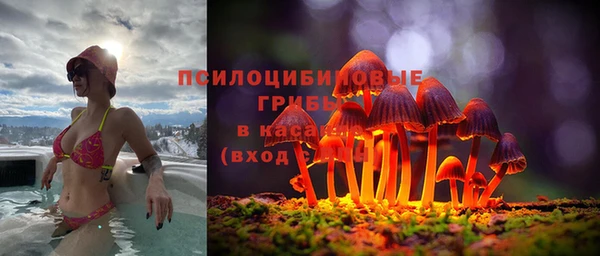jwh Богданович