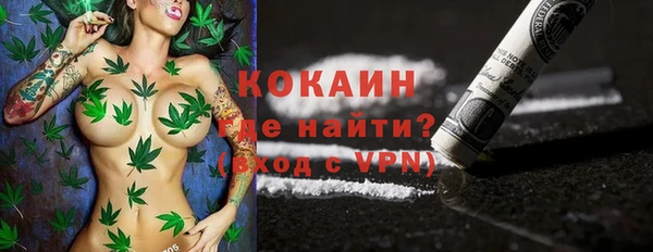 прущие грибы Богородицк