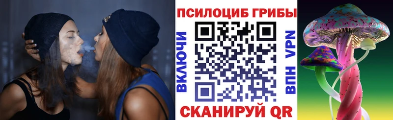 Псилоцибиновые грибы ЛСД  наркошоп  Костомукша 